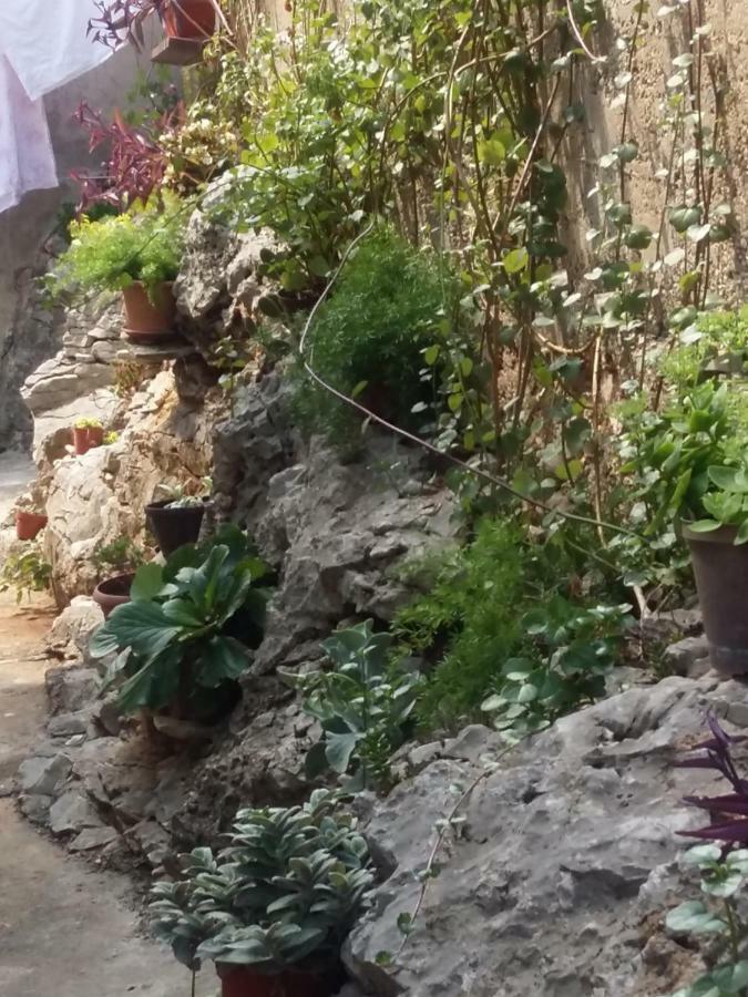 Appartamento Manda Ljubetic Sutivan Esterno foto