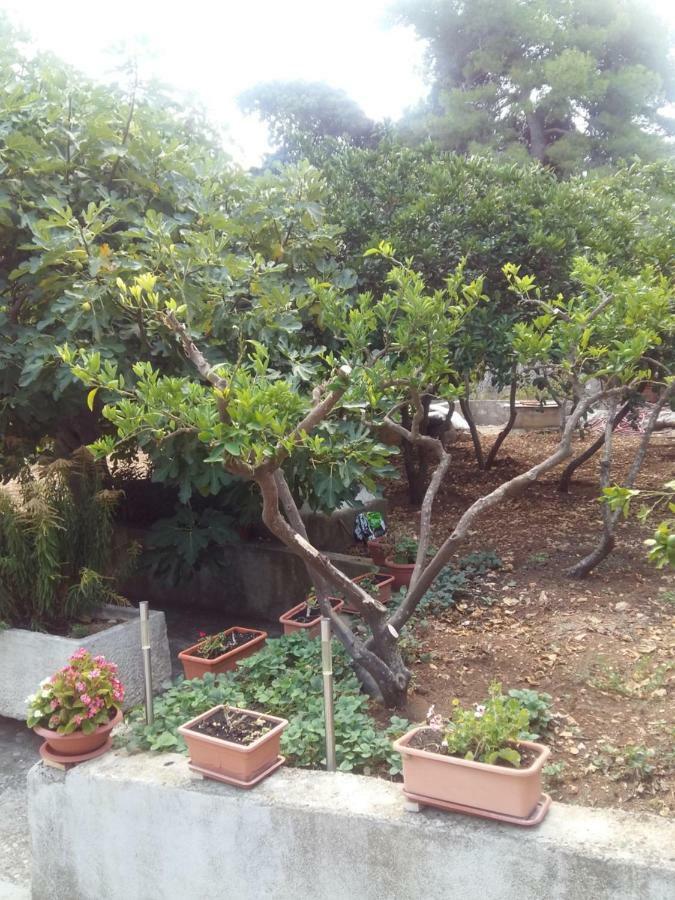 Appartamento Manda Ljubetic Sutivan Esterno foto