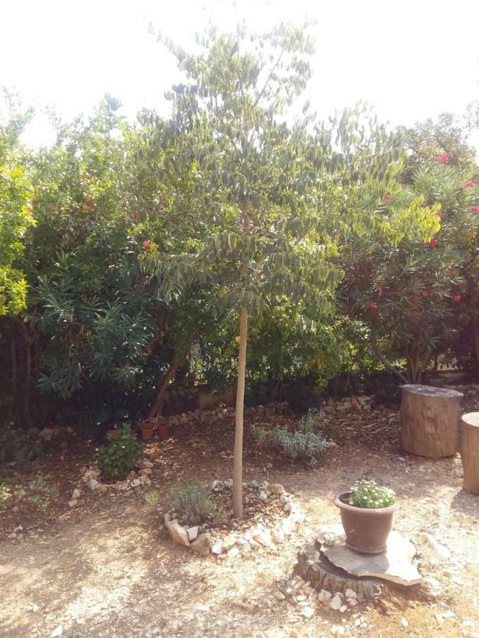 Appartamento Manda Ljubetic Sutivan Esterno foto