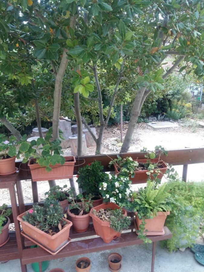 Appartamento Manda Ljubetic Sutivan Esterno foto