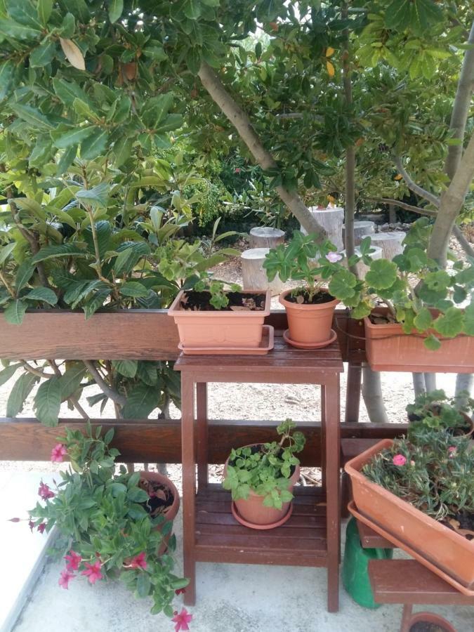 Appartamento Manda Ljubetic Sutivan Esterno foto