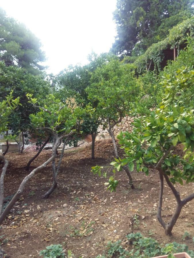 Appartamento Manda Ljubetic Sutivan Esterno foto